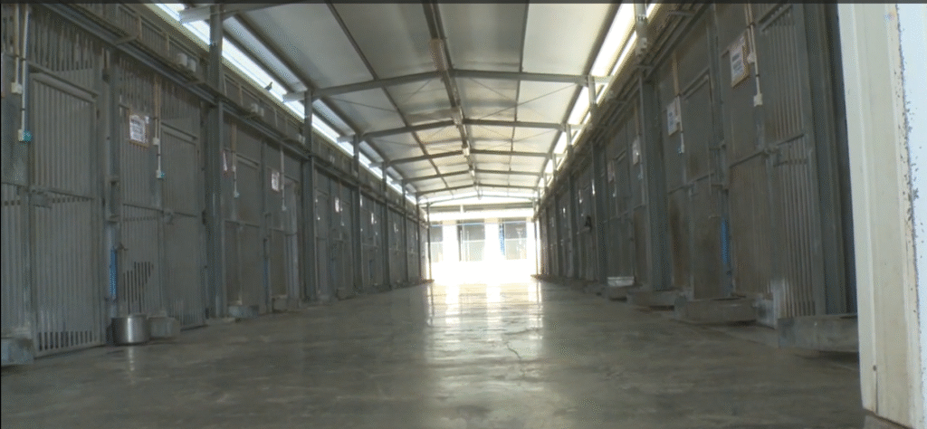 Cages where Oketz dogs are kept