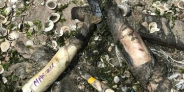 مذبحة بيئية على النيل: دور الصيادين المالطيين في تدمير التنوع البيولوجي