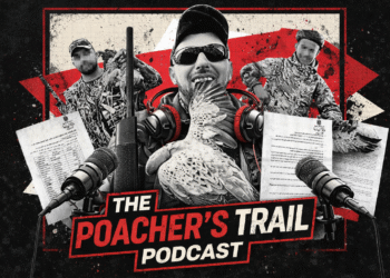 The Poacher’s Trail: Part 1