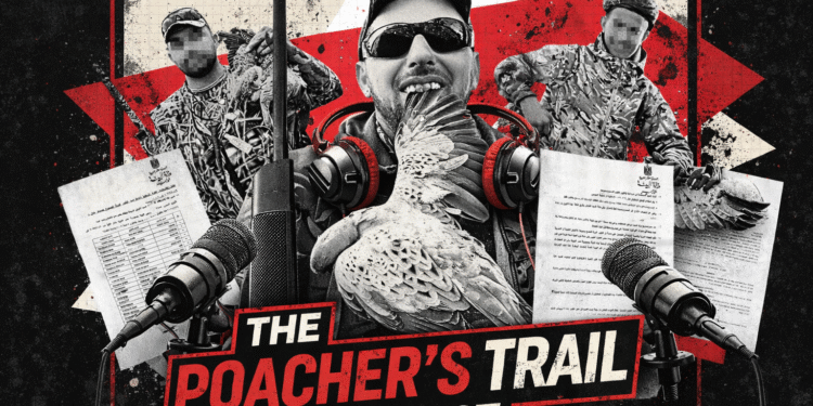 The Poacher’s Trail: Part 1